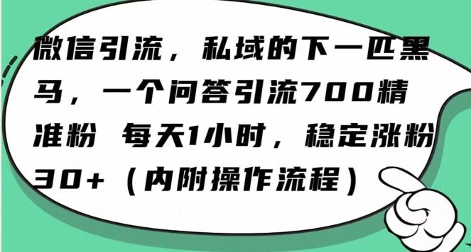 怎么搞精准创业粉？微信新赛道，每天一小时，利用Ai一个问答日引100精准粉-e家网