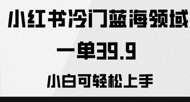 小红书冷门蓝海领域，一单39.9，小白可轻松上手-E家云商
