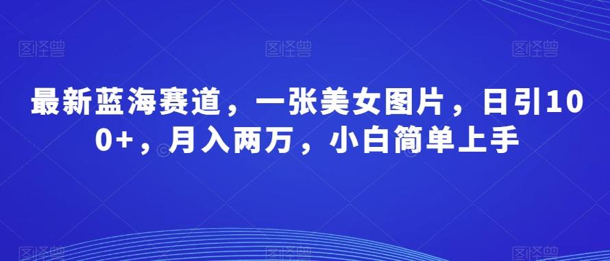 最新蓝海赛道，一张美女图片，日引100+，月入两万，小白简单上手-e家网