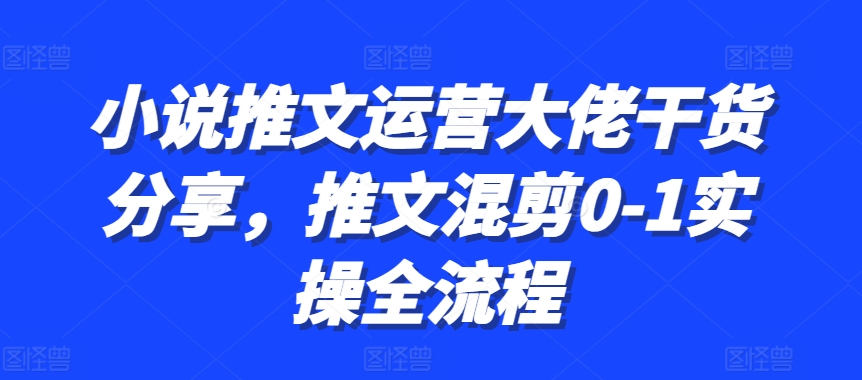 小说推文运营大佬干货分享，推文混剪0-1实操全流程-E家云商