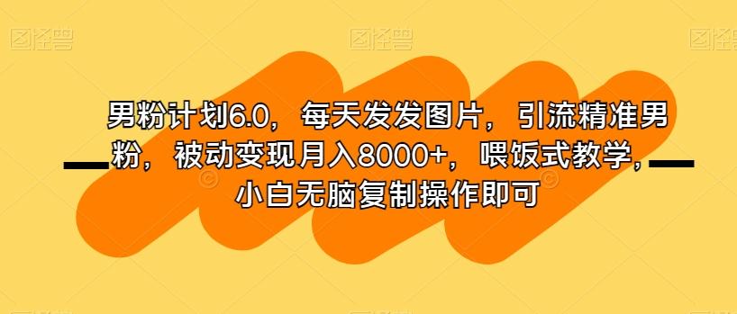 男粉计划6.0，每天发发图片，引流精准男粉，被动变现月入8000+，喂饭式教学，小白无脑复制操作即可-e家网