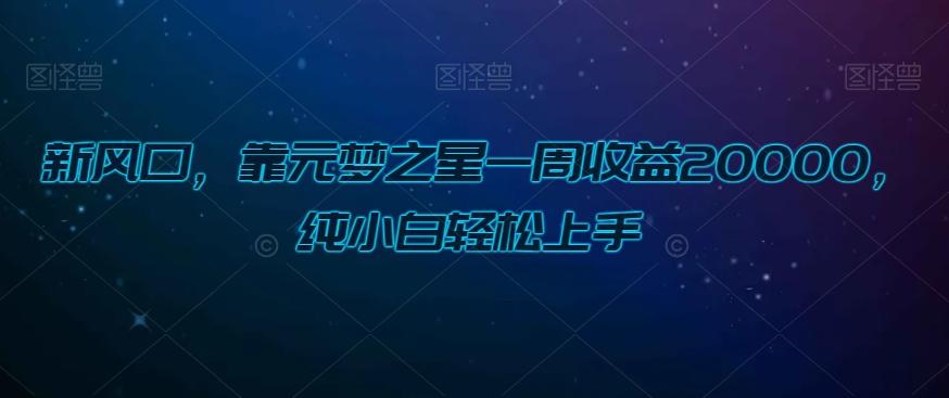 新风口，靠元梦之星一周收益20000，纯小白轻松上手-e家网