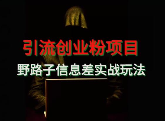 【引流创业粉】野路子信息差玩法实战教学-e家网