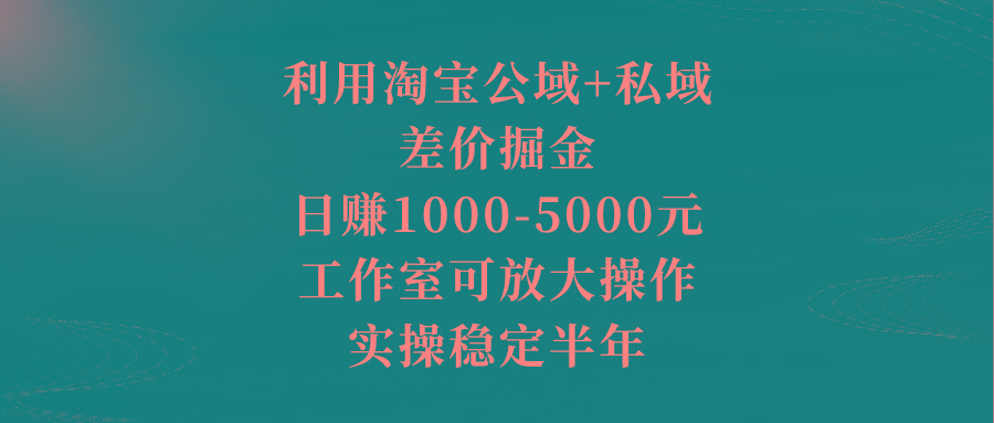 利用淘宝公域+私域差价掘金，日赚1000-5000元，工作室可放大操作，实操...-e家网
