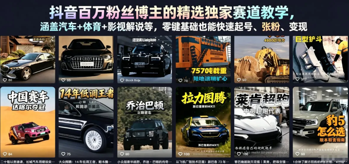 抖音百万粉丝博主的精选独家赛道教学，涵盖汽车+体育+影视解说等，零基础也能快速起号、涨粉、变现(更新0701)-e家网