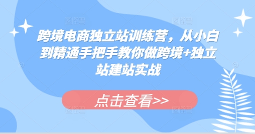 跨境电商独立站训练营，从小白到精通手把手教你做跨境+独立站建站实战-E家云商