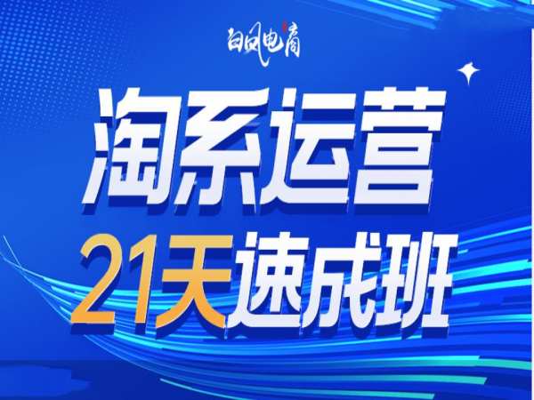 淘系运营21天速成班35期，年前最后一波和2025方向-E家云商