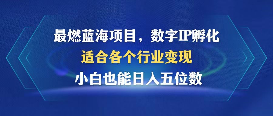最燃蓝海项目  数字IP孵化  适合各个行业变现  小白也能日入5位数-E家云商