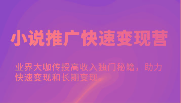 小说推广快速变现营-业界大咖传授高收入独门秘籍，助力快速变现和长期变现。-E家云商
