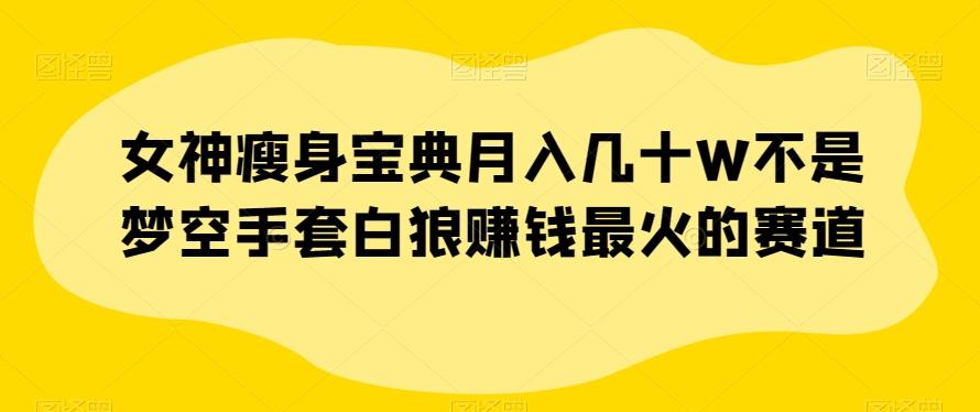 女神瘦身宝典月入几十W不是梦空手套白狼赚钱最火的赛道【揭秘】-E家云商