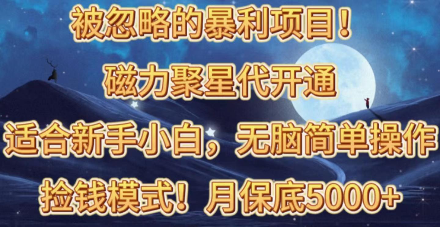被忽略的暴利项目！磁力聚星代开通捡钱模式，轻松月入五六千-E家云商