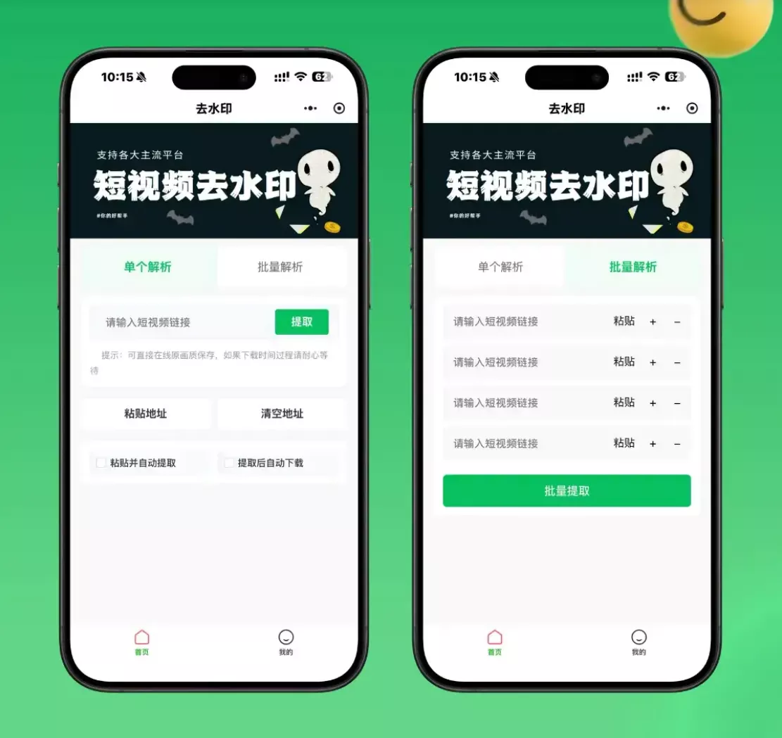 2026最新去水印小程序源码 v1.6.5 带流量主-e家网