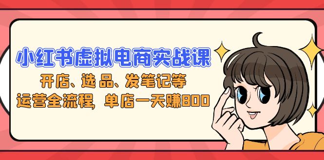 小红书虚拟电商实战课：开店、选品、发笔记等运营全流程，单店一天赚800-E家云商
