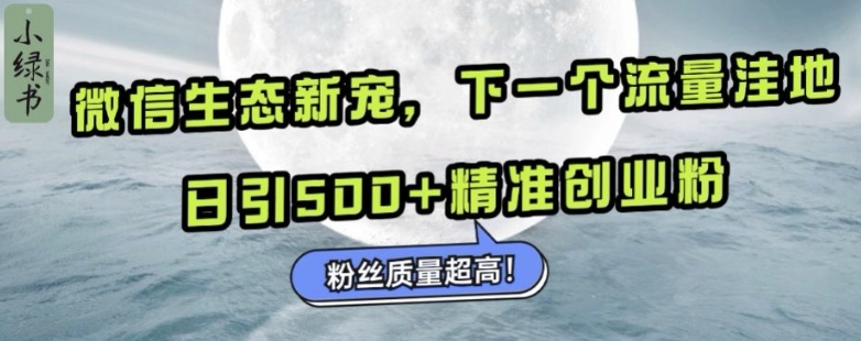 微信生态新宠小绿书：下一个流量洼地，日引500+精准创业粉，粉丝质量超高-E家云商