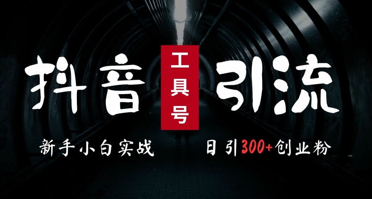2024最新抖音工具号引流玩法，高效日引300+创业粉，当天变现5k，小白也可成为实战高手-E家云商