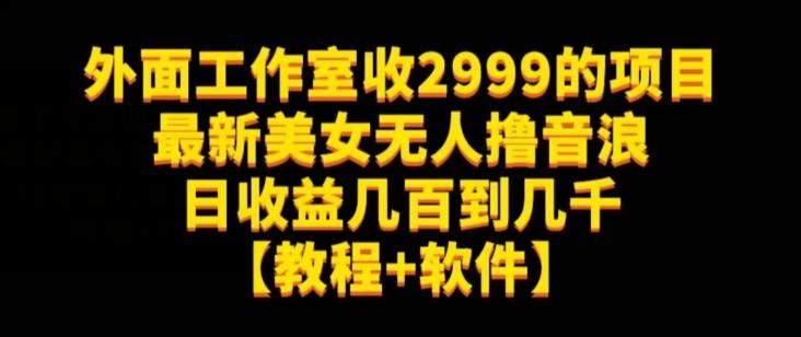外面工作室收2999的项目最新美女无人撸音浪日收益几百到几千【教程+软件】（仅揭秘）-E家云商
