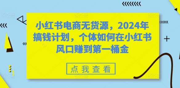 小红书电商无货源，2024年搞钱计划，个体如何在小红书风口赚到第一桶金-E家云商