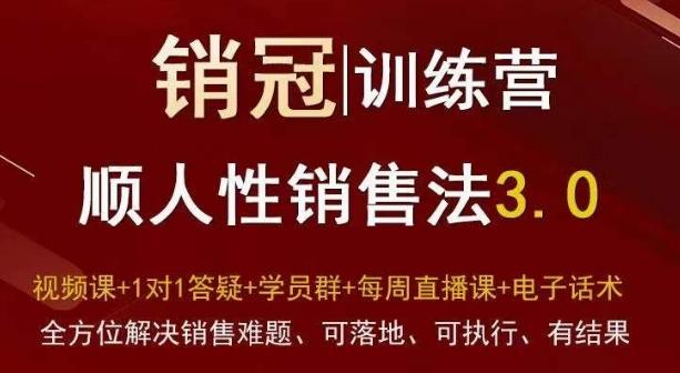 爆款！销冠训练营3.0之顺人性销售法，全方位解决销售难题、可落地、可执行、有结果-e家网