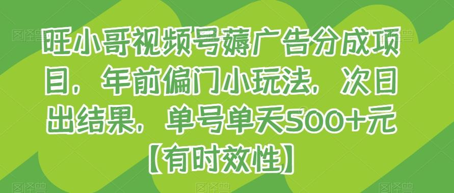 旺小哥视频号薅广告分成项目，年前偏门小玩法，次日出结果，单号单天500+元【有时效性】-e家网