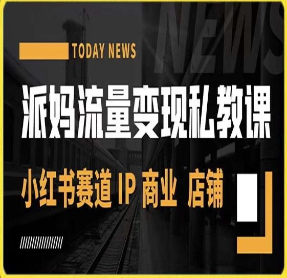 派妈流量变现私教课，小红书赛道IP  商业  店铺 -E家云商