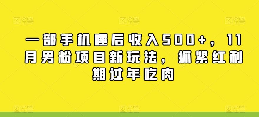 一部手机睡后收入500+，11月男粉项目新玩法，抓紧红利期过年吃肉-w 刷的