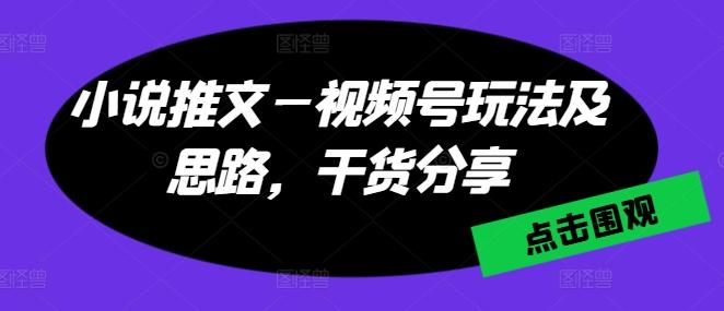 小说推文—视频号玩法及思路，干货分享-E家云商