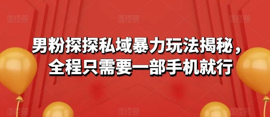 男粉探探私域暴力玩法揭秘，全程只需要一部手机就行-E家云商