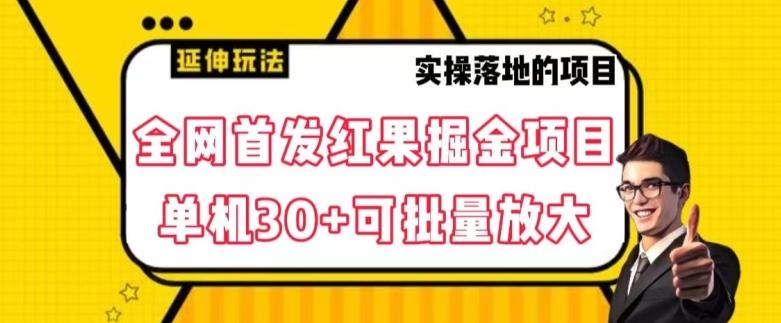 全网首发红果免费短剧掘金项目，单机30+可批量放大【揭秘】-E家云商