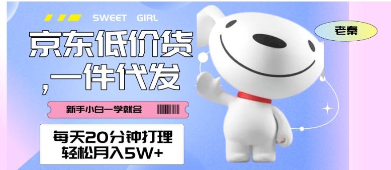 每天20分钟打理京东低价货，一件代发-轻松月入5W＋-E家云商