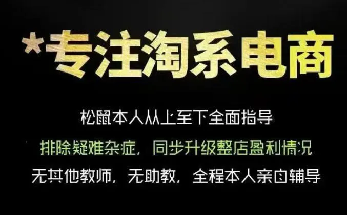 松鼠会电商VIP课程，从基础布局到高阶优化，助你掌握淘宝运营逻辑，提升店铺流量与转化(更新0703)-e家网