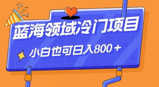 蓝海领域冷门赛道，一单39.9，日入800＋-e家网