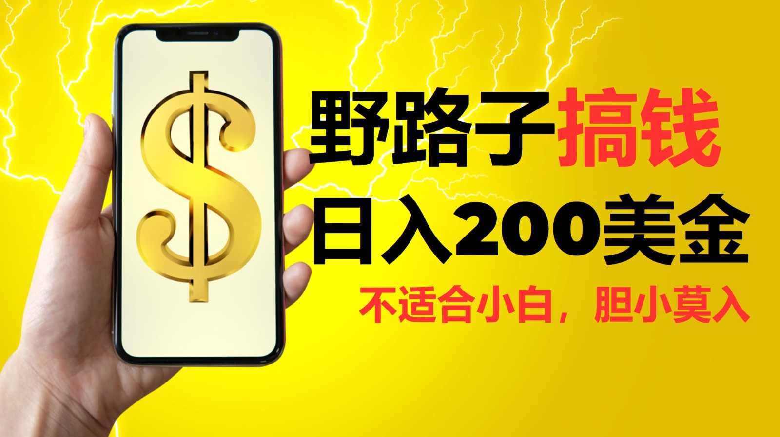 挂机野路子搞钱，日入200美金，路子很野，小白莫入-E家云商
