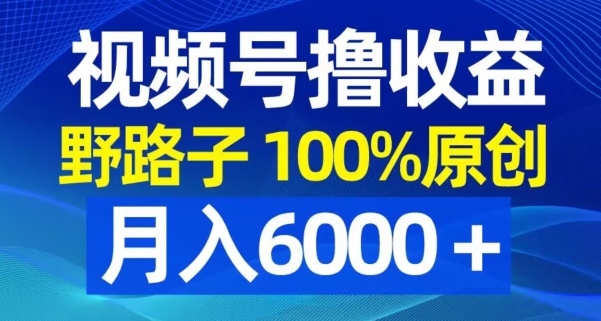 视频号野路子撸收益，100%原创，条条爆款，月入6000＋【揭秘】-e家网