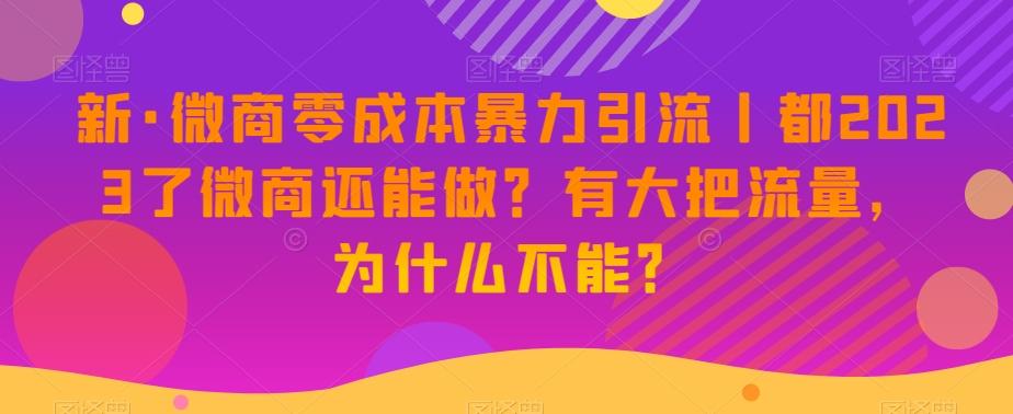 新·微商零成本暴力引流丨都2023了微商还能做？有大把流量，为什么不能？-e家网