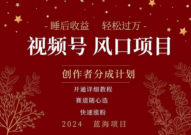 拥有睡眠收益的微信视频号大风口项目，轻松月入过万+，多赛道选择，可…-E家云商