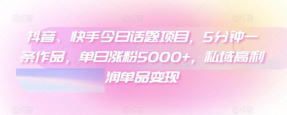 抖音、快手今日话题项目，5分钟一条作品，单日涨粉5000+，私域高利润单品变现-E家云商