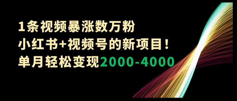 1条视频暴涨数万粉--小红书+视频号的新项目！单月轻松变现2000-4000【揭秘】-E家云商