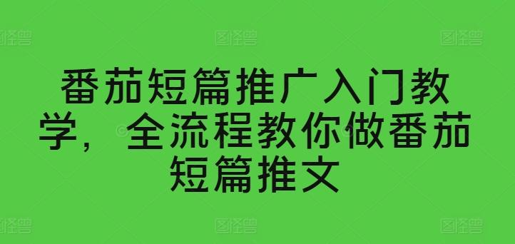番茄短篇推广入门教学，全流程教你做番茄短篇推文-E家云商