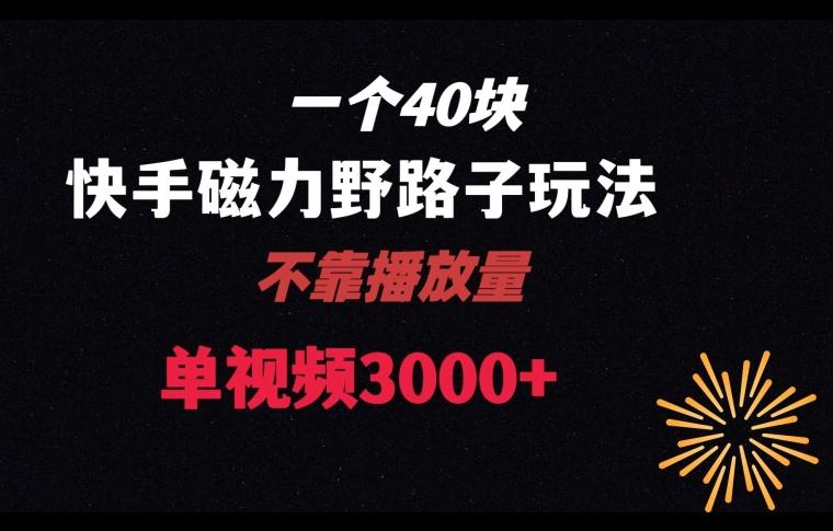 一个40块，快手联合美团磁力新玩法，无视机制野路子玩法，单视频收益4位数【揭秘】-E家云商