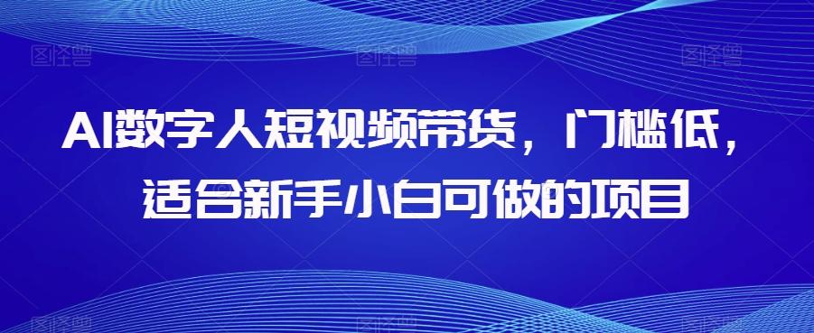 AI数字人短视频带货，门槛低，适合新手小白可做的项目-E家云商