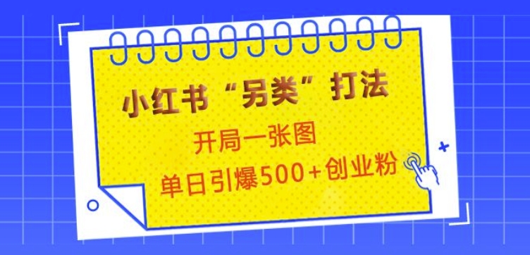 小红书“另类”打法，开局一张图，单日引爆500+精准创业粉【揭秘】-E家云商