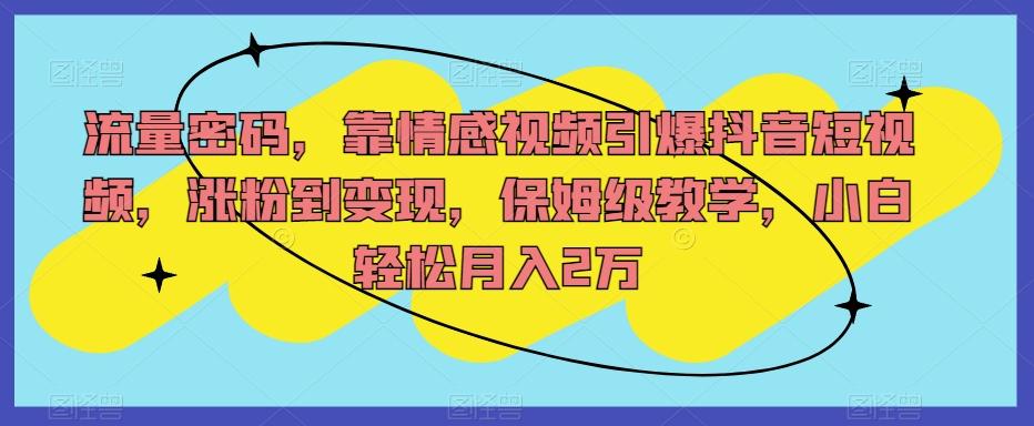 流量密码，靠情感视频引爆抖音短视频，涨粉到变现，保姆级教学，小白轻松月入2万【揭秘】-E家云商
