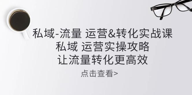 私域-流量 运营&转化实操课：私域 运营实操攻略 让流量转化更高效-E家云商
