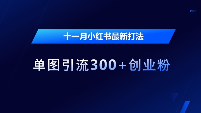 十一月小红书最新打法，单图引流300+创业粉【揭秘】-E家云商