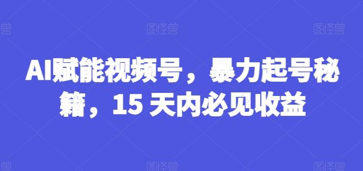 AI赋能视频号，暴力起号秘籍，15 天内必见收益【揭秘】-E家云商
