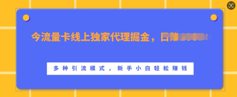 流量卡线上独家代理掘金，日入1k+ ，多种引流模式，新手小白轻松上手【揭秘】-E家云商
