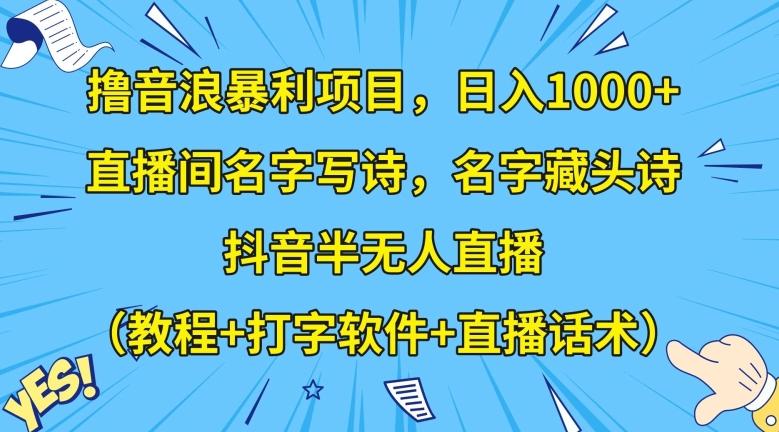 撸音浪暴利项目，日入1000+，直播间名字写诗，名字藏头诗，抖音半无人直播（教程+打字软件+直播话术）【揭秘】-E家云商