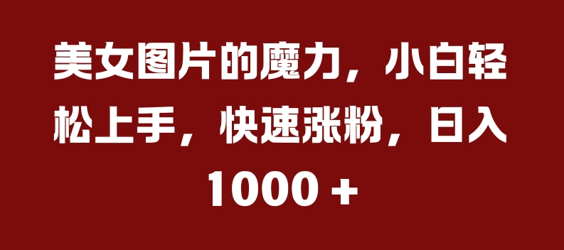 美女图片的魔力，小白轻松上手，快速涨粉，日入几张【揭秘】-E家云商