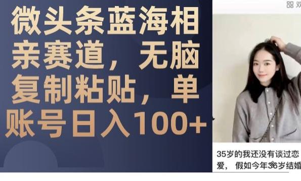 微头条蓝海相亲赛道，无脑复制粘贴，单账号日入100+-E家云商