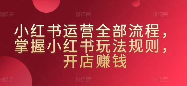 小红书运营全部流程，掌握小红书玩法规则，开店赚钱-E家云商